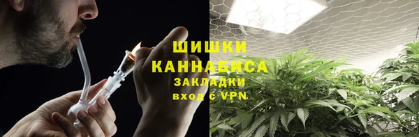 сатива Абинск