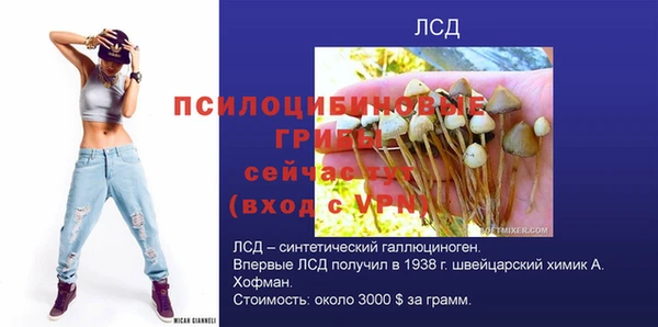mdpv Магадан