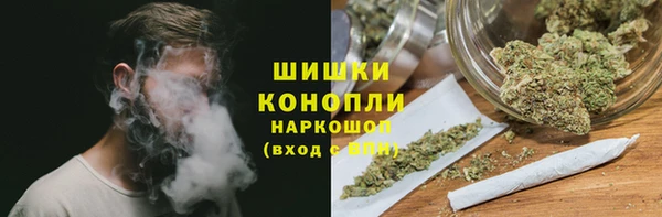 сатива Абинск