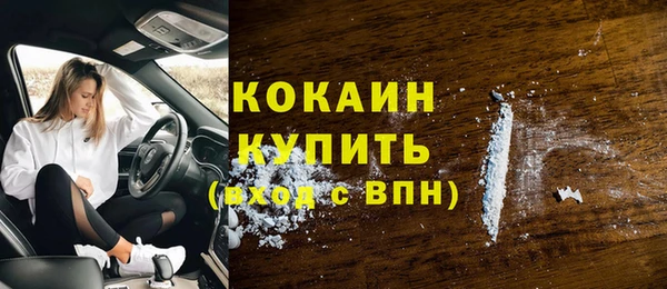 сатива Абинск