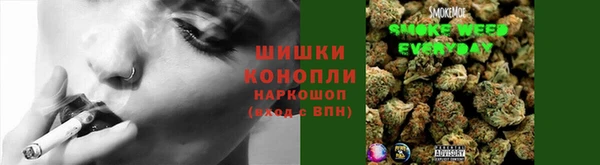 спайс Абаза