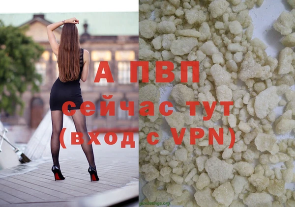 сатива Абинск
