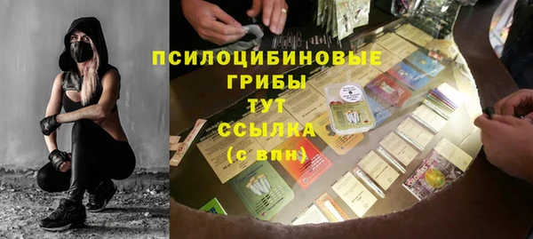 сатива Абинск
