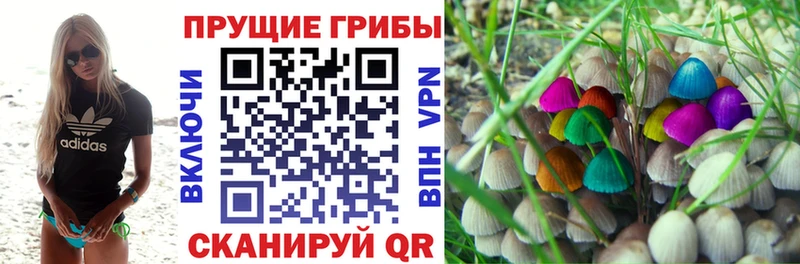 наркошоп  Яранск  Галлюциногенные грибы Psilocybine cubensis 